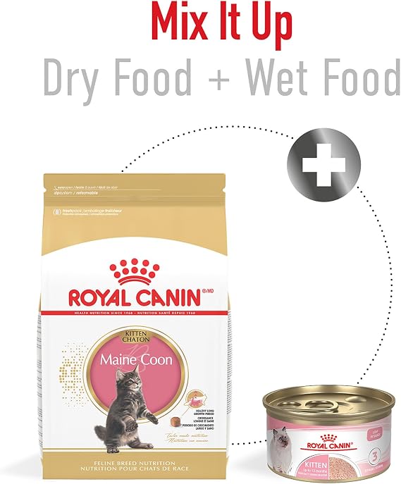 Royal Canin Feline Breed Nutrition Persian Kitten Dry Cat Food, 3 lb Bag