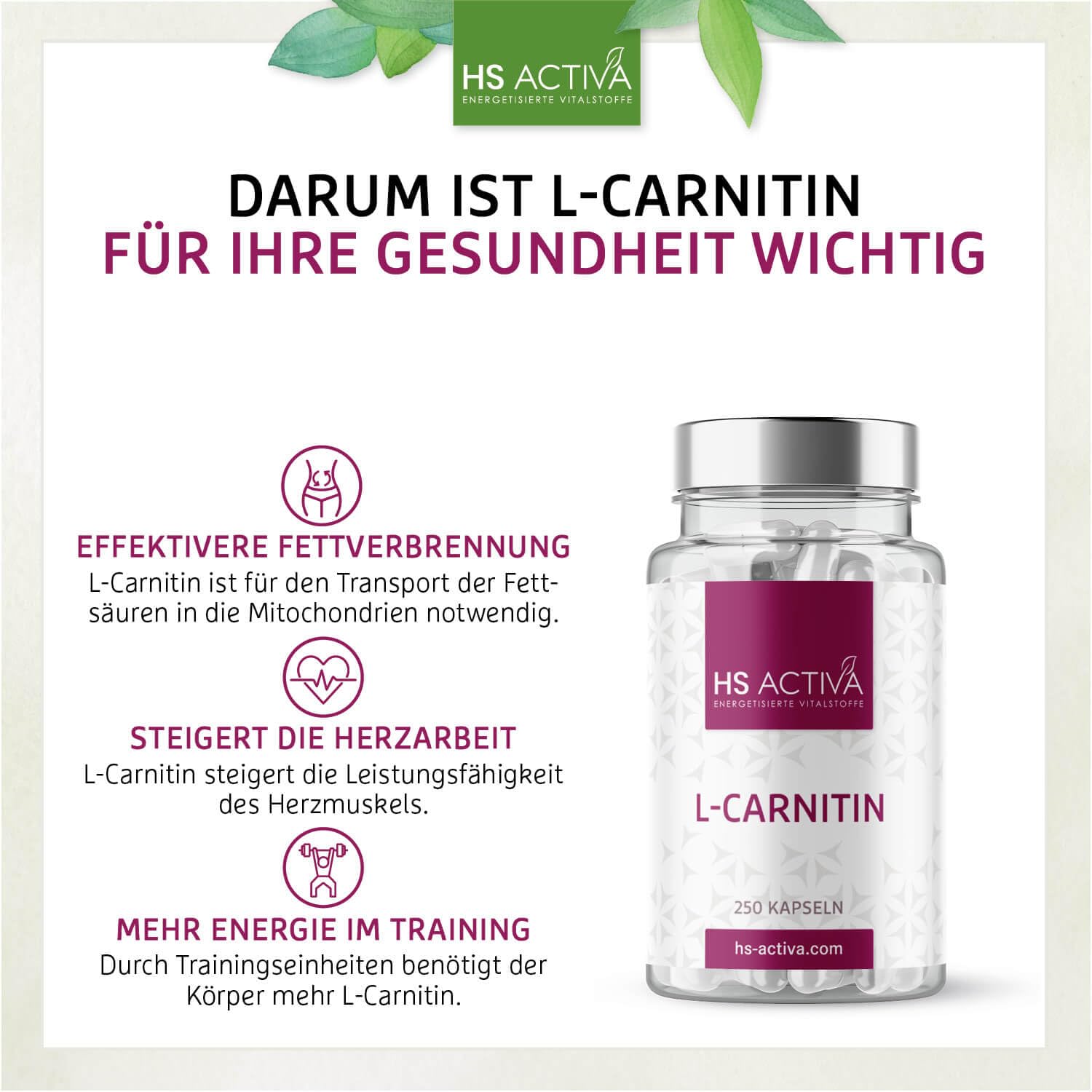 HS Activa L-Carnitin 250 Kapseln, 500mg L-Carnitin Tartrat pro Kapsel