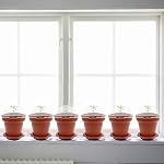 30 Pieces Cupcake Plant Pots with Humidity Dome Shape Small Plastic Flower Pots with Saucers and Shovel for Indoor Outdoor Seedling Succulent Vegetables