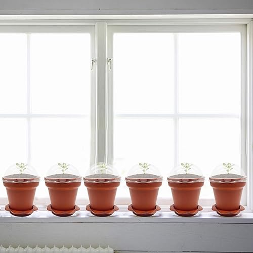 Vista 4 de PURPLE STAR 1N Paquete de 30 macetas de cupcake para vivero con cúpula de humedad - Macetas pequeñas de plástico con platillos y pala