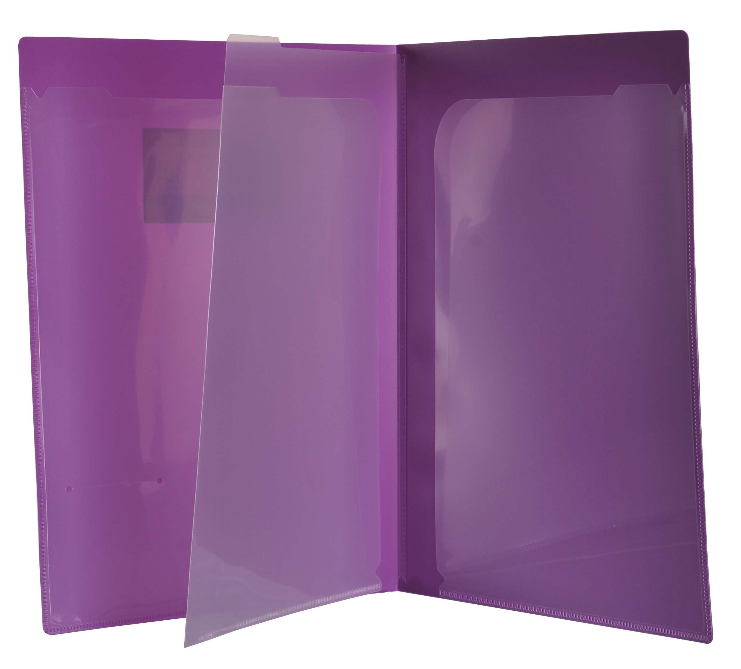 Filexec Products 4 Pocket Port/Folder, Assorted, Pack of 6 (50373-3140)