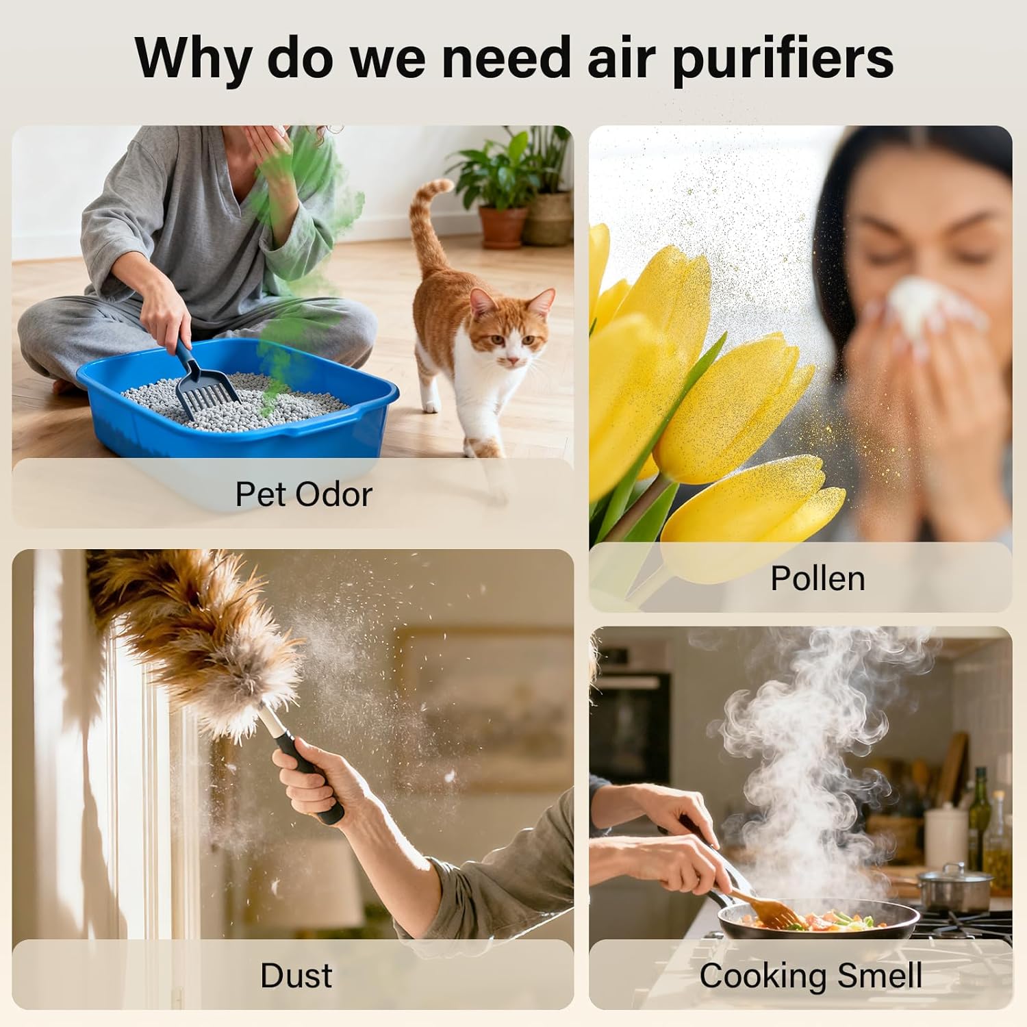 https://m.media-amazon.com/images/I/71ruEw8apLL._AC_SL1500_.jpg