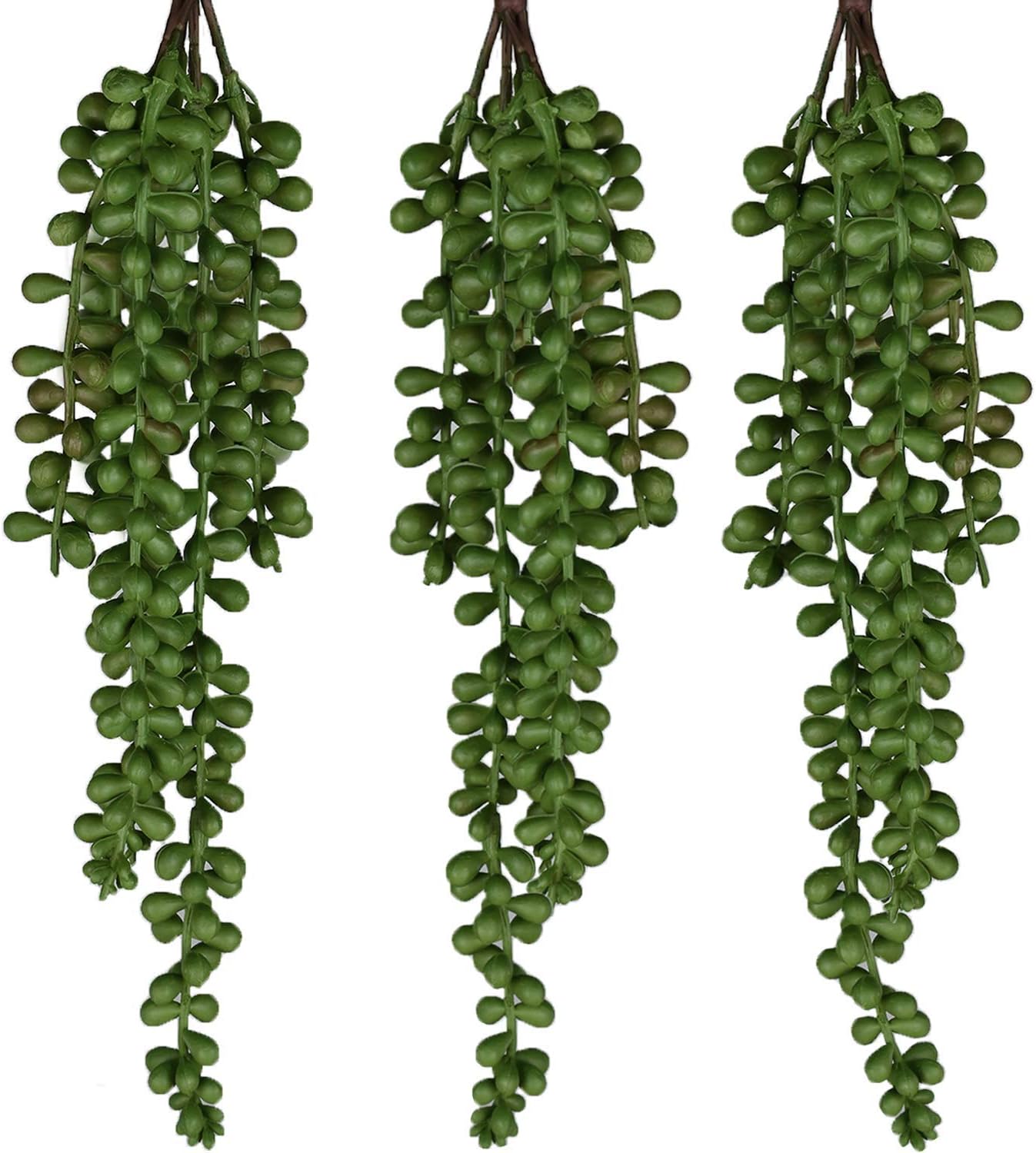 String of Pearls Standard