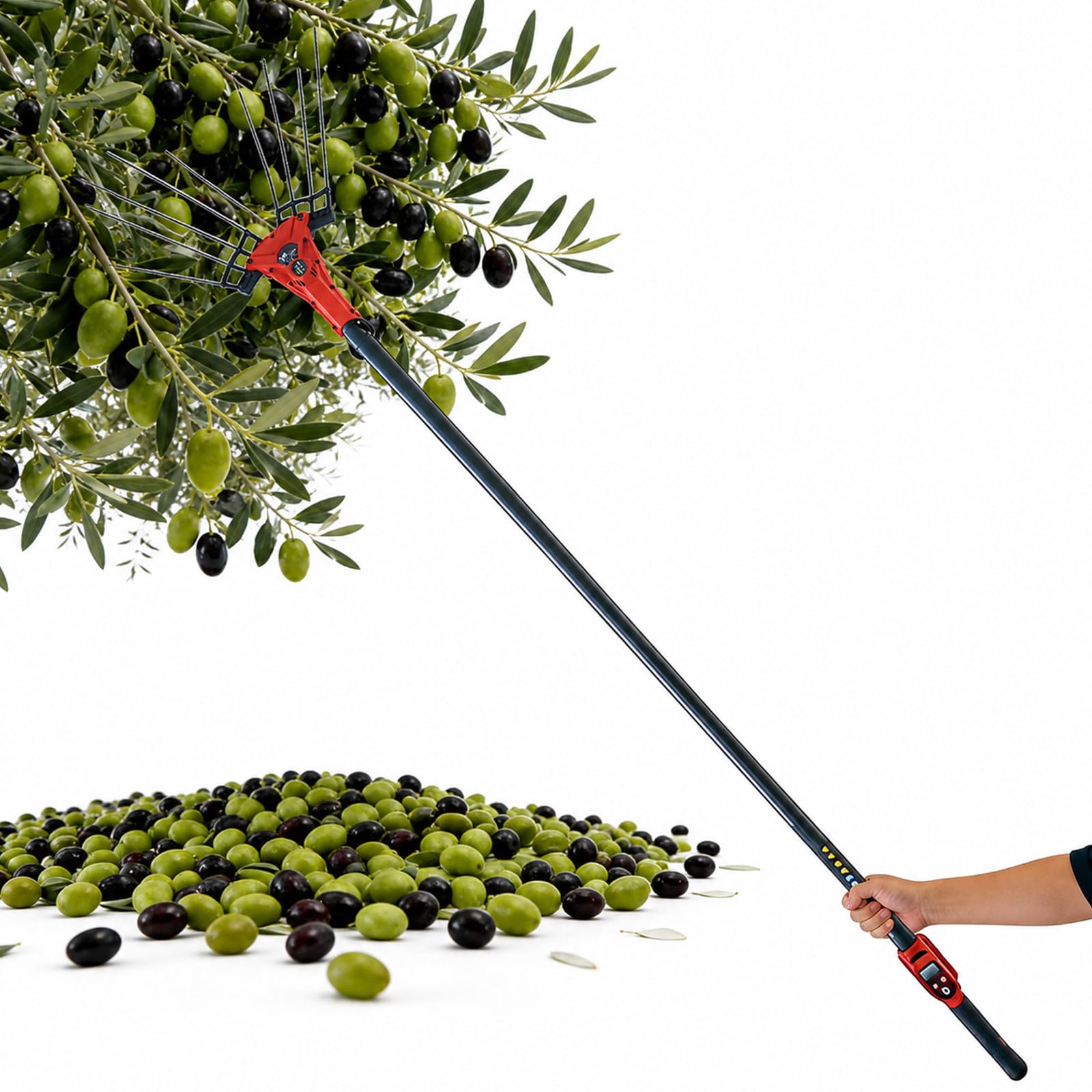 Recogedor De Fruta Eléctrico, Vareador De Aceitunas con Pértiga Telescópica Ligera, 6 Niveles Ajustables, Pantalla LED Y Cable 10m para Ramas Altas, Jardines Y Fincas 600W-ToolOnly