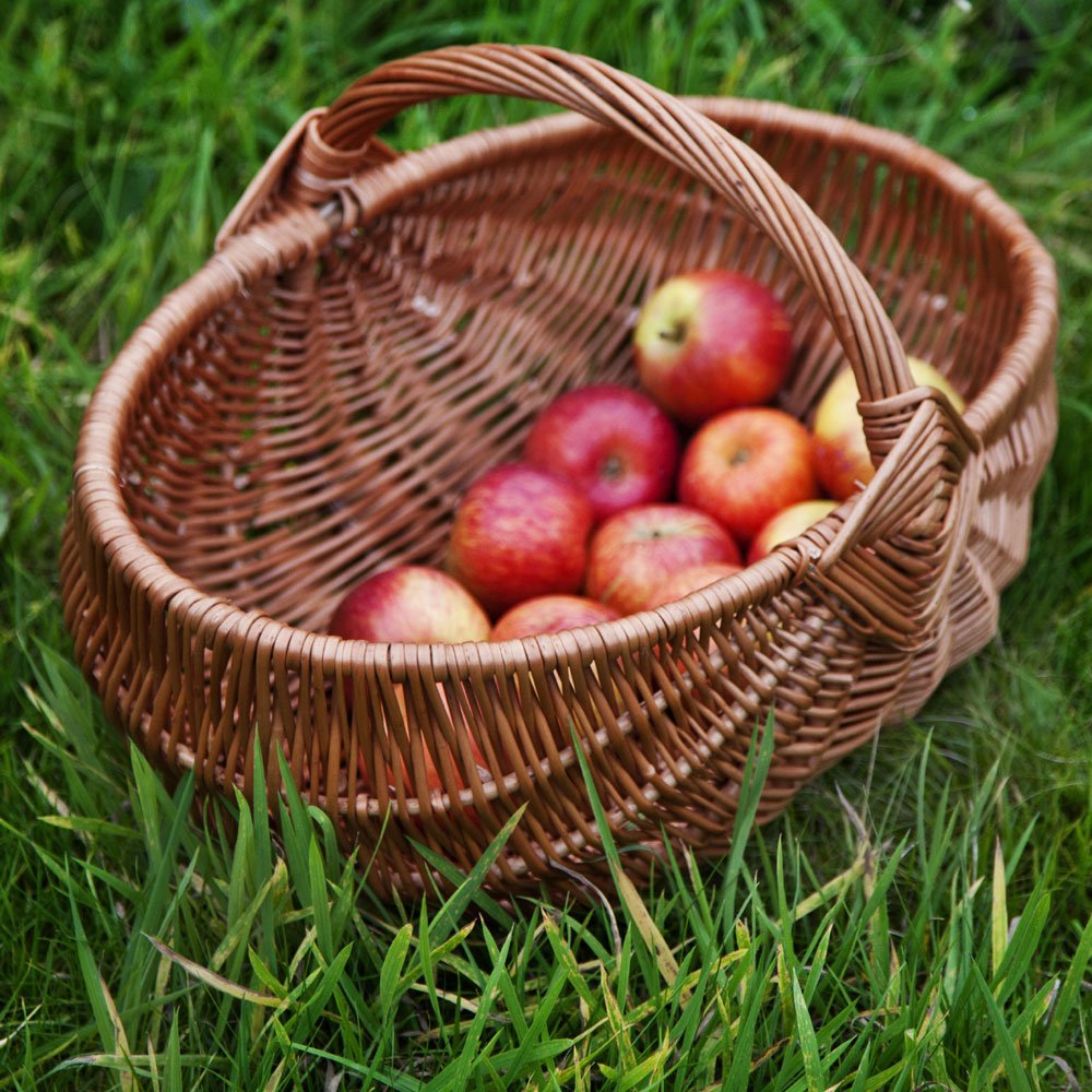 Prestige Wicker Natural Large Wicker Trug Basket