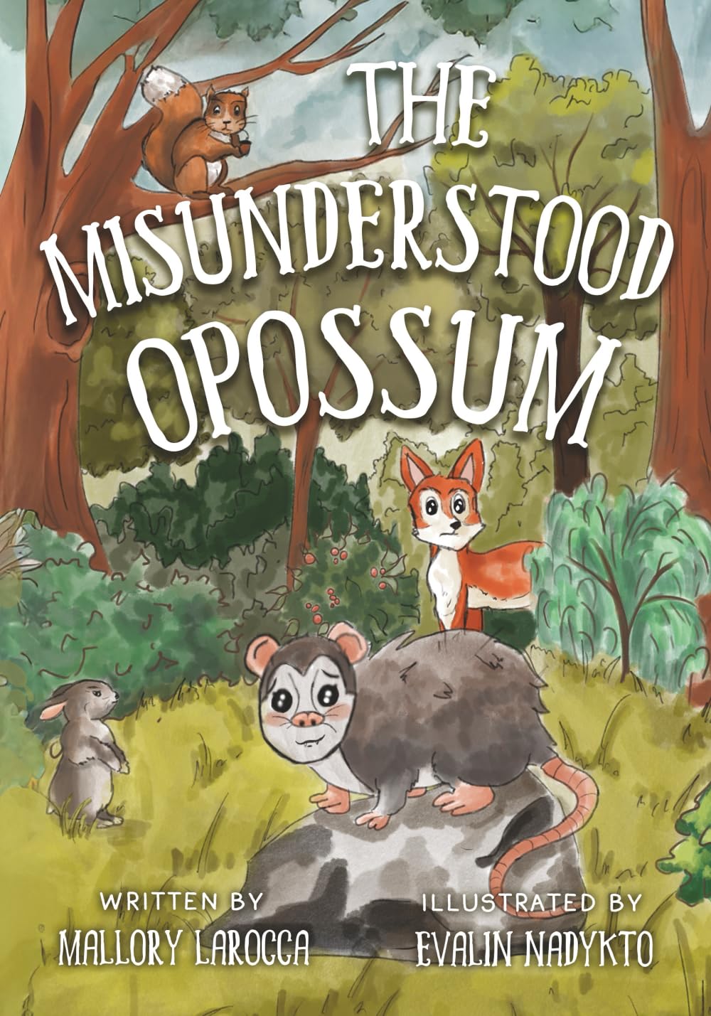 The Misunderstood Opossum
