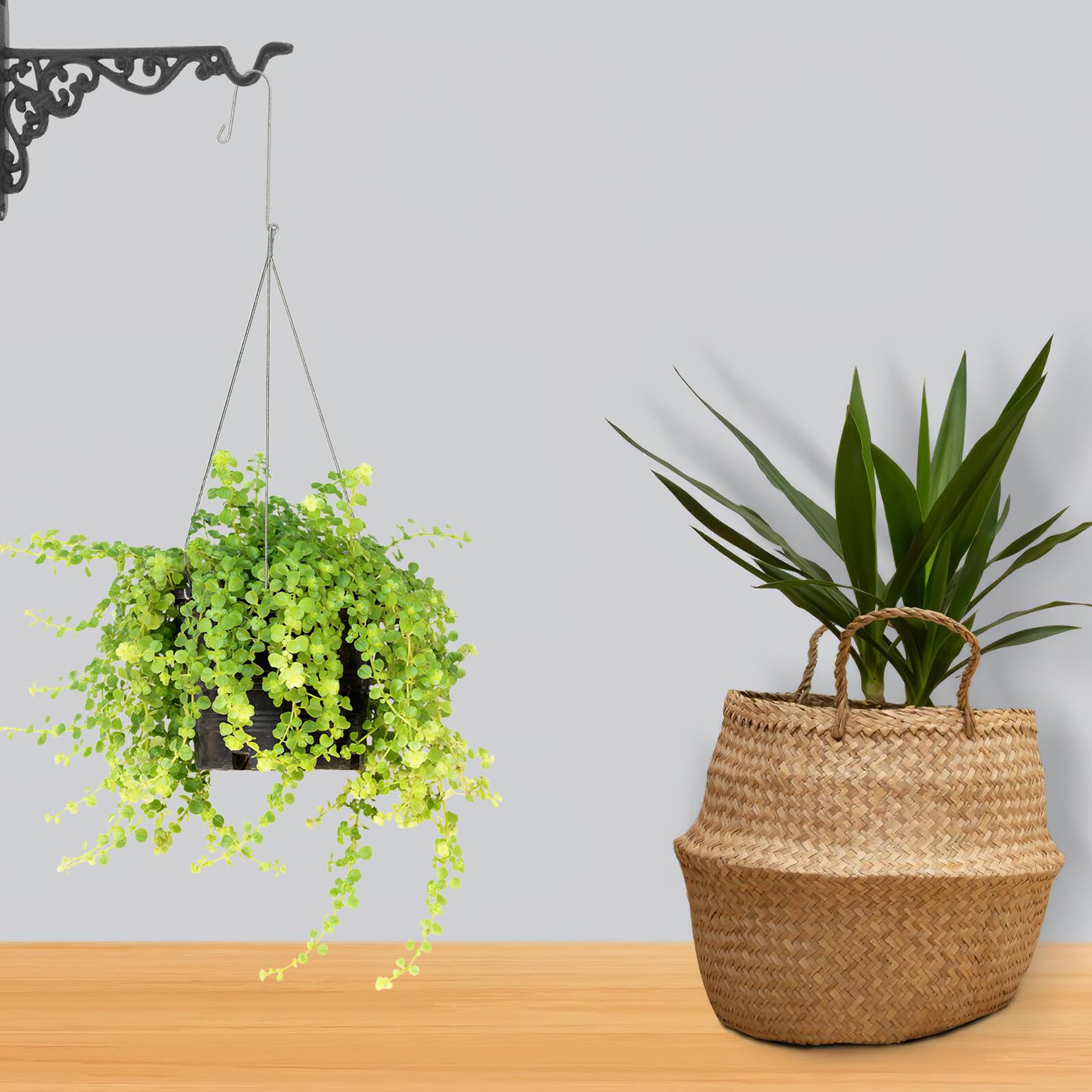 ibasenice Crochet en Fonte Noir Vintage pour Jardinières Suspendues, Support Robuste avec Vis et Écrous, pour Jardin et Extérieur, Maintien Sécurisé des Pots Métalliques