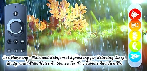 Eco Harmony: Rain and Rainforest Symphony for Relaxing Sleep, Study, and White Noise Ambiance For Ta