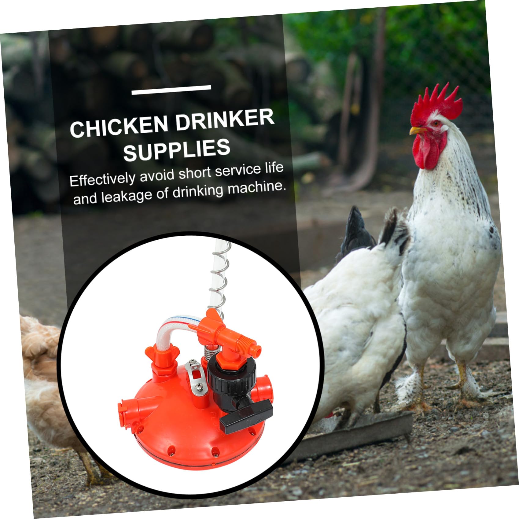 Abbeveratoio Automatico di Regolatore Galline Pressione | Plastica Rossa, 1 Pezzo, Prevenzione Perdite e Peso Ridotto, per Allevamento Avicolo