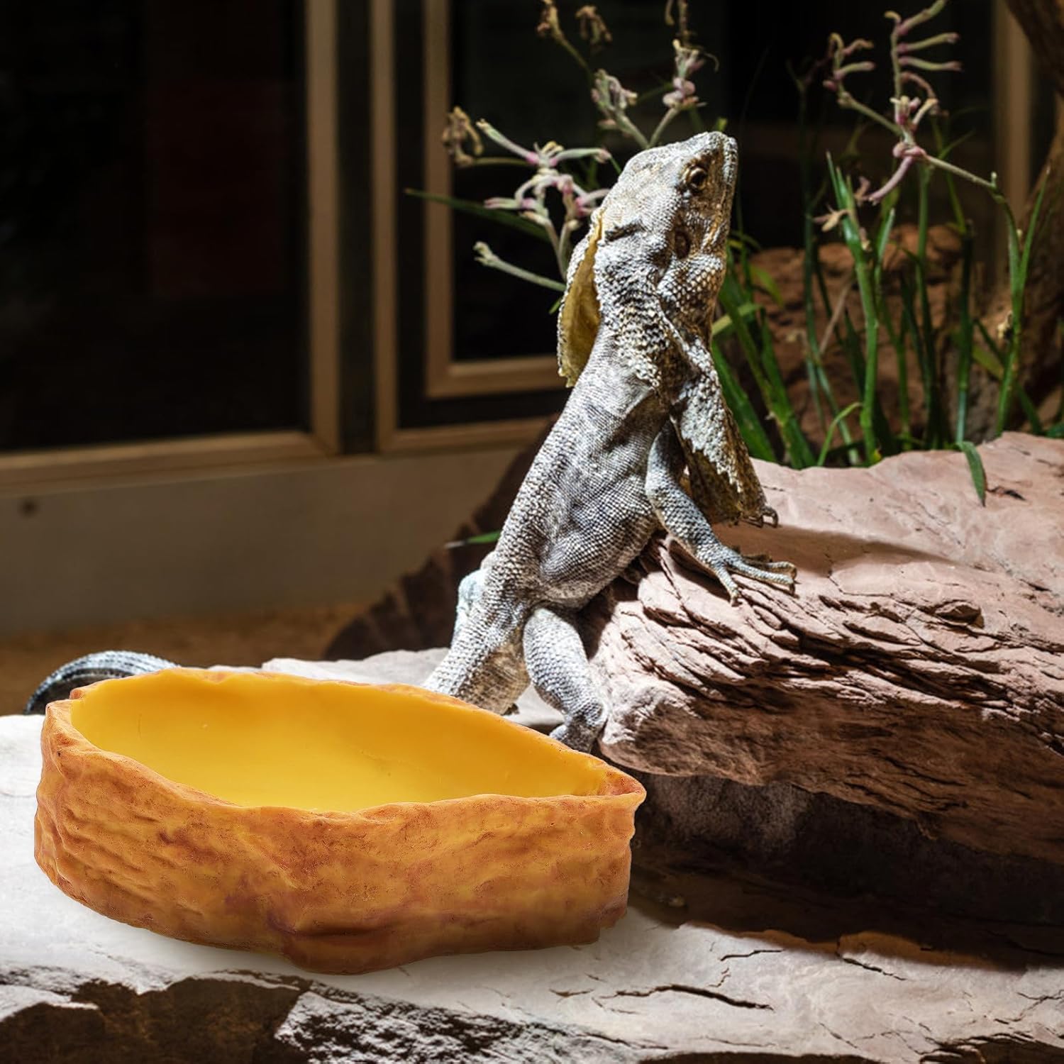 Reptile Feeding Bowl and Water Basin, Imitation Stone Design, Sturdy Plastic Material, Medium Size, Suitable for Tortoise Bathing and Lizard Drinking, Pet Feeding Supplies