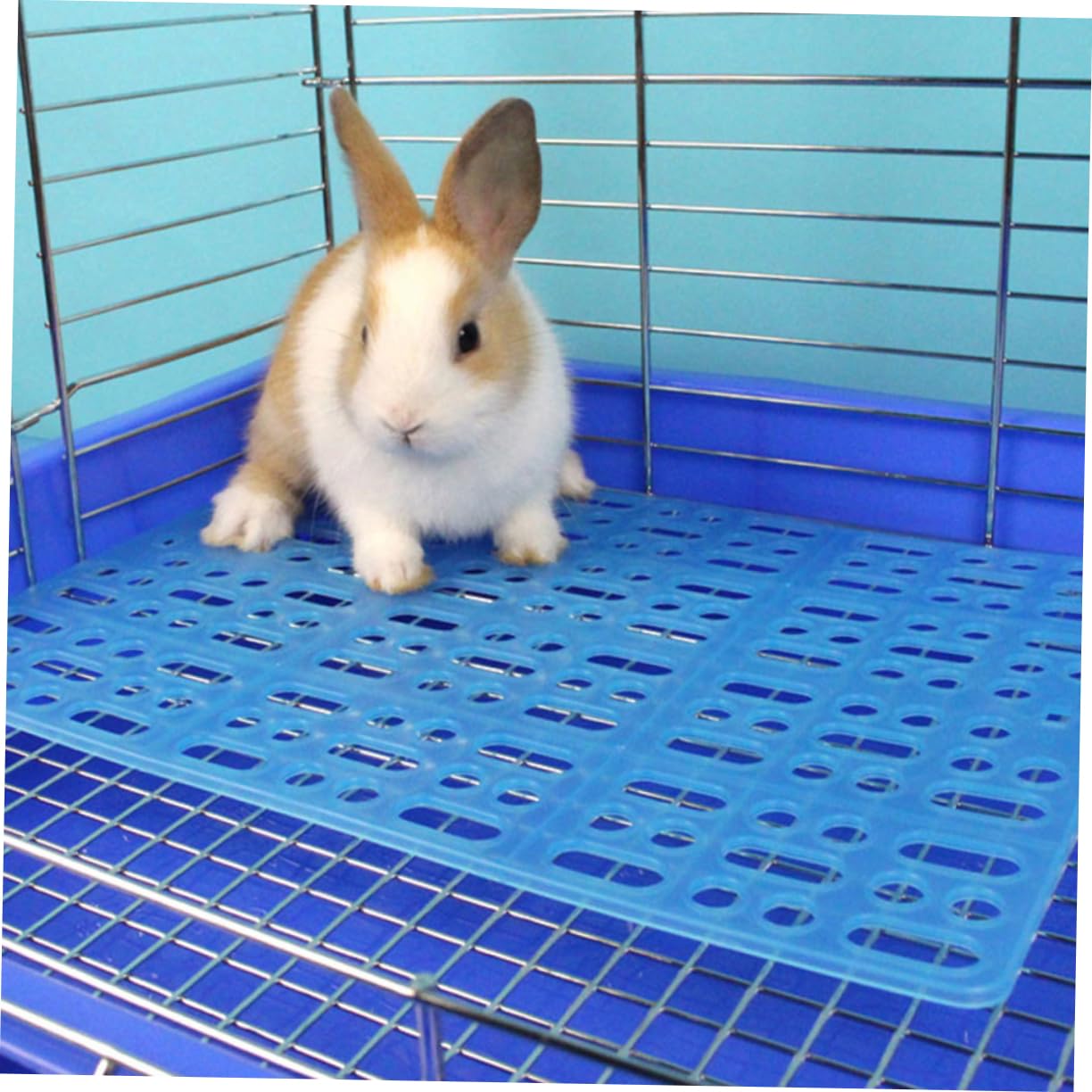 Meerschweinchen Bodenmatte aus Abs 6 Stück-Pack für Käfig Pflegeleicht als Bequeme Ruhefläche für Meerschweinchen und Hunde Hasenstall Zubehör Draußen