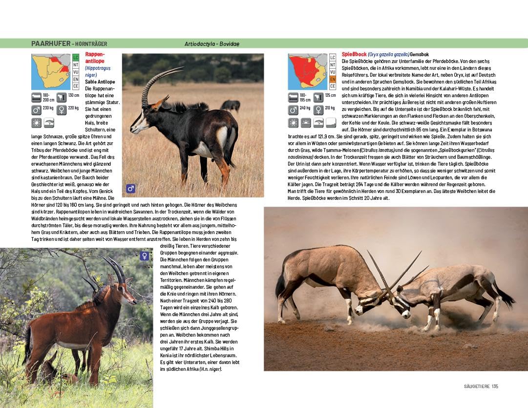 Safari-Reiseführer Südliches Afrika: Wenn Sie wissen möchten welches Tier Sie vor der Linse haben!: Säugetiere, Reptilien, Vögel und Nationalparks-Südafrika, Botswana ind Namibia
