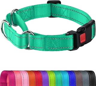 Joytale Martingale Collar for Dogs, Escape Proof No Pull, Teal, XS