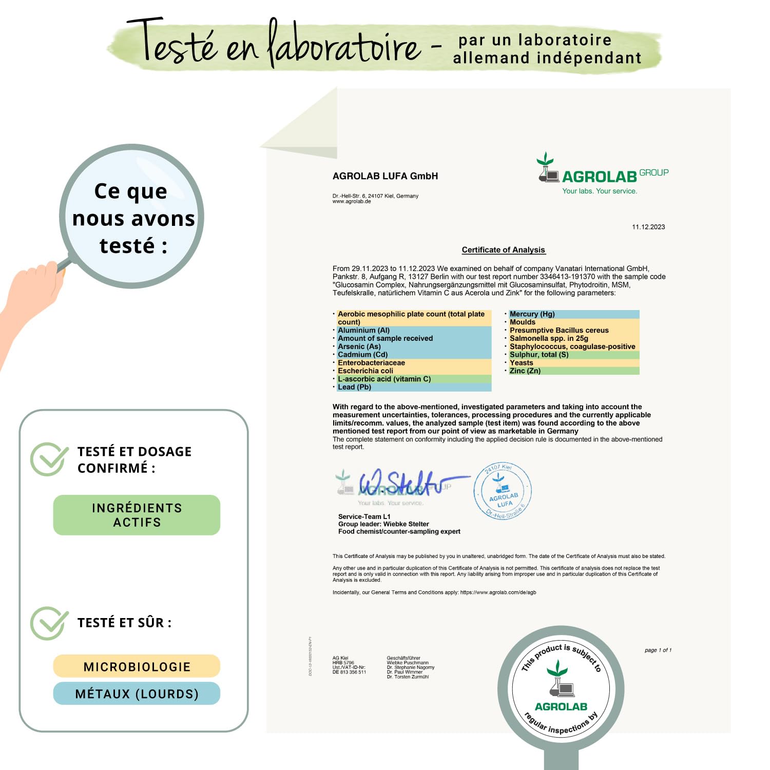 Glucosamine Chondroïtine Complex Vegavero® | 100% VEGAN | Avec MSM, Vitamine C, Harpagophytum et Zinc | Pour les ARTICULATIONS* | Sans Additifs | 180 Gélules