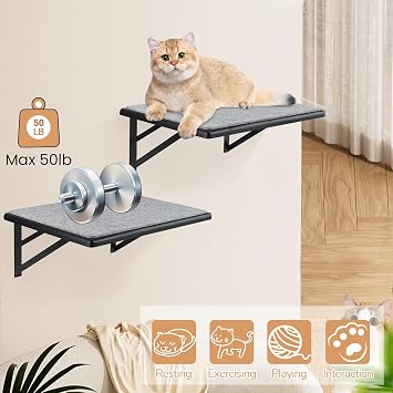 Cat Wall Shelves Set of 2, Wood Cat Shelves for Wall, Cat Wall Bed Hammock with Scratching Pad, Cat Climbing Shelf for Sleeping Playing, Cat Window Perch for Large Cats, Black Cat Furniture for Indoor
