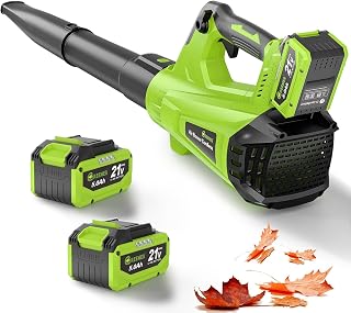 GREENER 21V Leaf Blower Cordless - 600CFM/160MPH Turbo Mode Electric Leaf Blower with 2 X 5.0Ah Battery and Fast Charger Included, Blowing Leaves and Dust, Patio Cleaning
