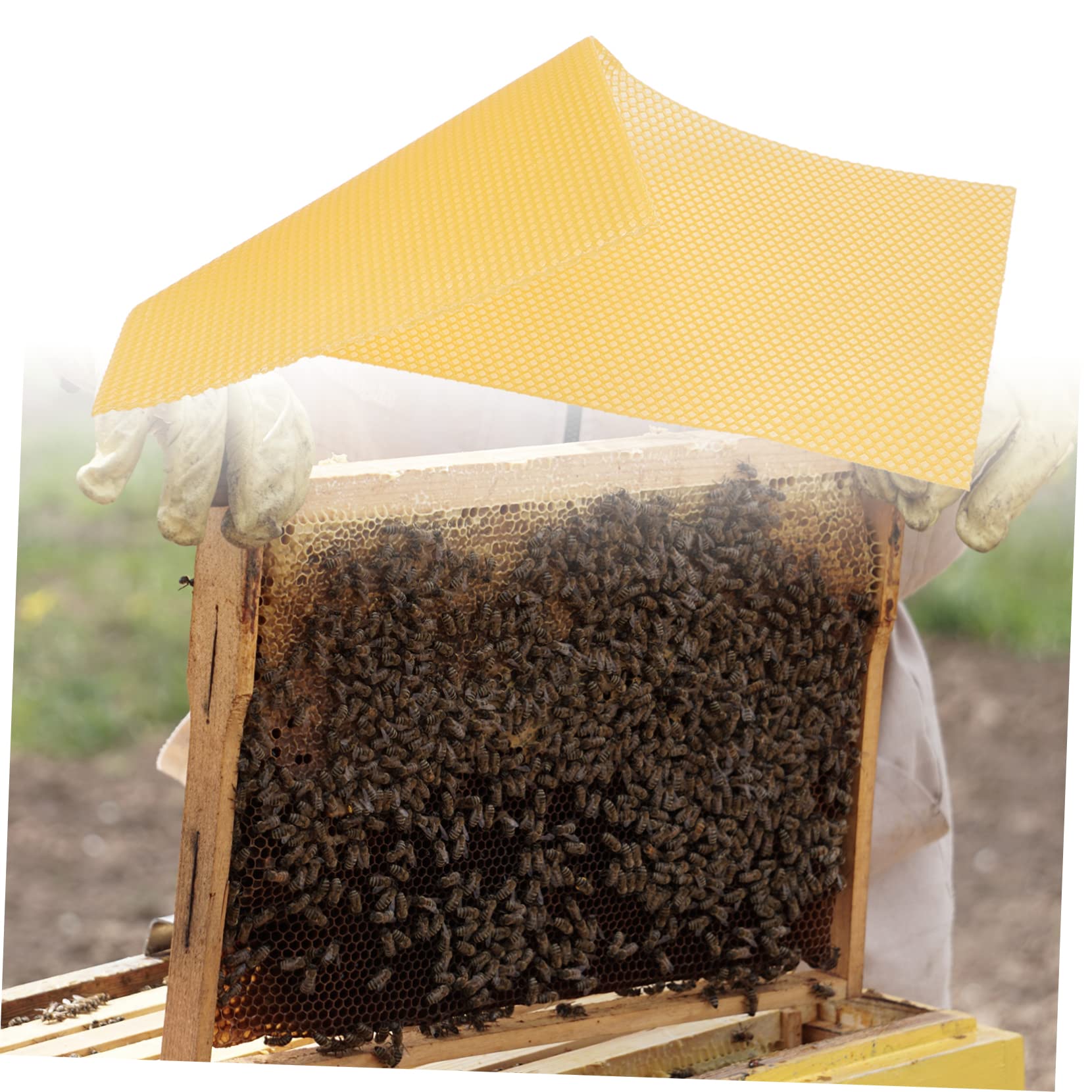 Abaodam 30 Láminas de Base de Colmena de Cera de Abeja Amarilla Suavidad Moderada y Alta Producción para Fabricación de Velas y Barnizado de Muebles