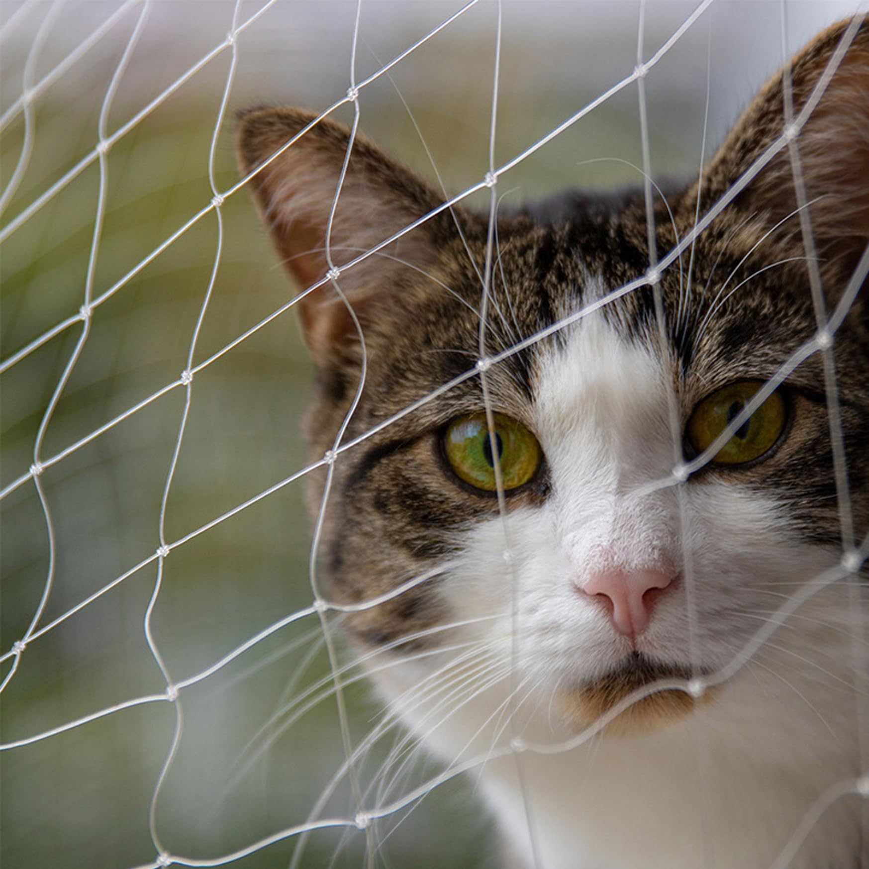 Rete da balcone per animali domestici 26x10 ft Rete anticaduta trasparente per gatti da balcone in nylon antiuccelli tagliabile per scale e finestre