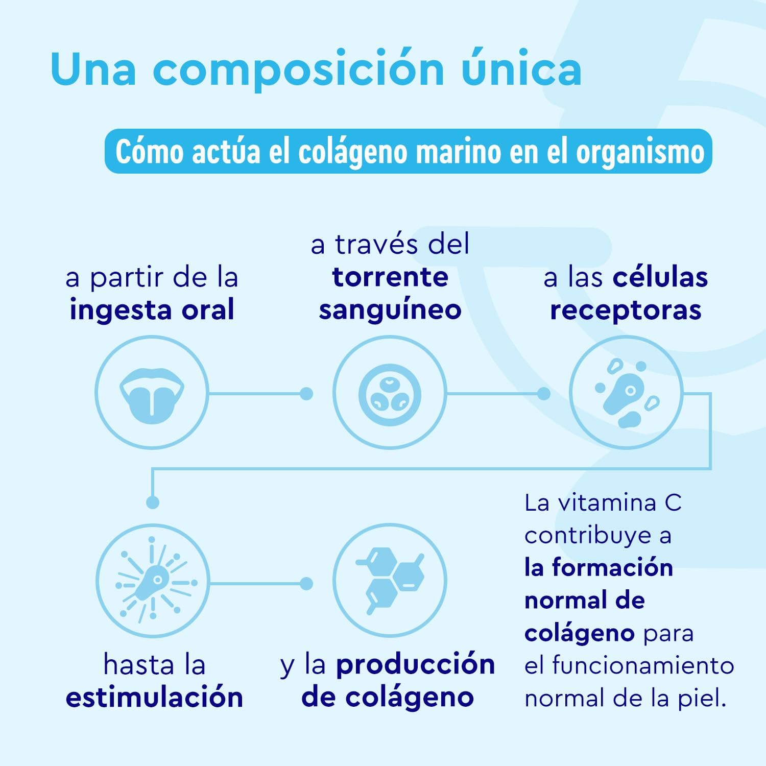 Colágeno Marino Hidrolizado 500g - Péptidos de Colágeno VERISOL® (Tipo I, III) - 12.500mg Colageno Hidrolizado puro - Con Vitamina C, Zinc y Cobre para piel, cabello y uñas - Sabor neutro
