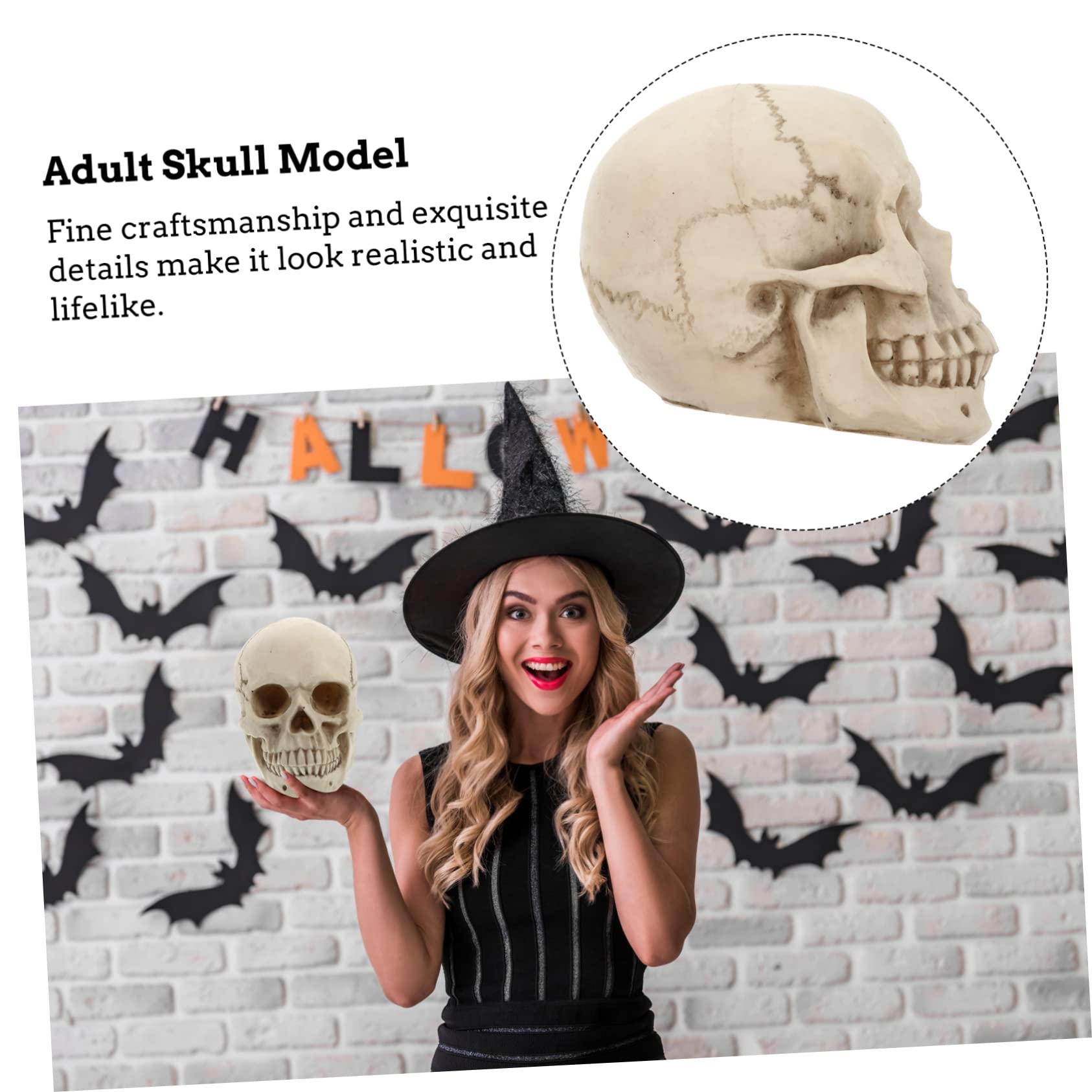 Mipcase Modelo de Cráneo Humano de Resina Real para Decoración de Halloween Utilería Artística y Estudio de Anatomía Cráneo Humano Detallado