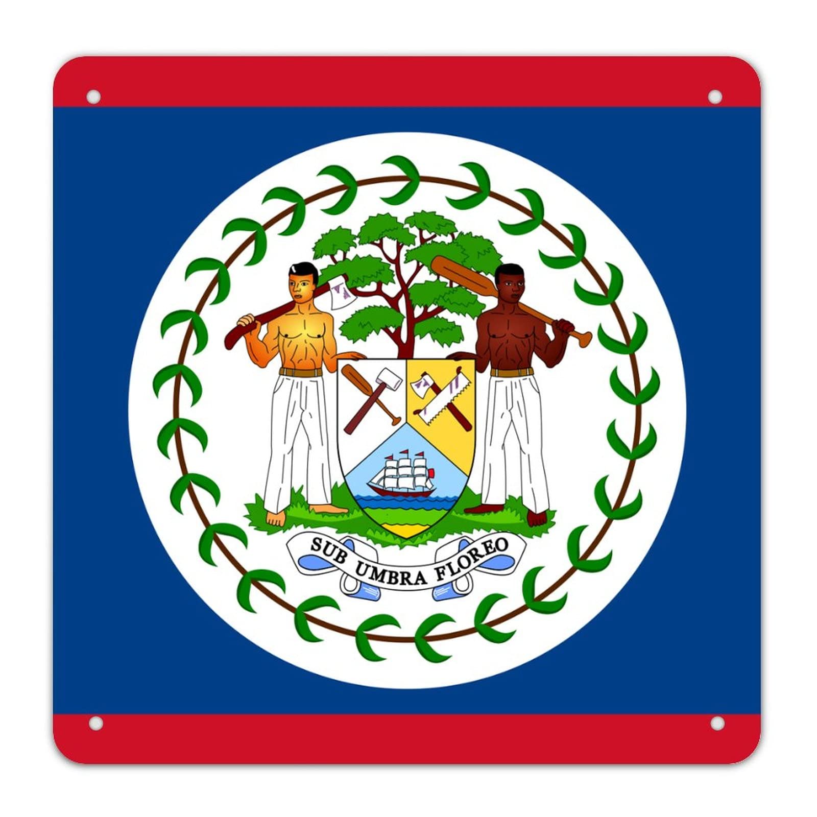 Belize Flag Metal Sign Belize Metal Sign Rustic Patriotic Decor National Flag Wall Art Vintage Retro Home Decor For Bedroom Living Room Kitchen Front Porch Birthday Gifts 10x10 inch
