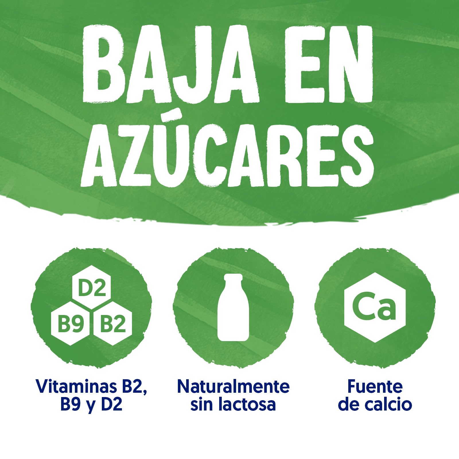 Alpro Bebida Vegetal de Matcha Coco - Pack de 8 x 1L