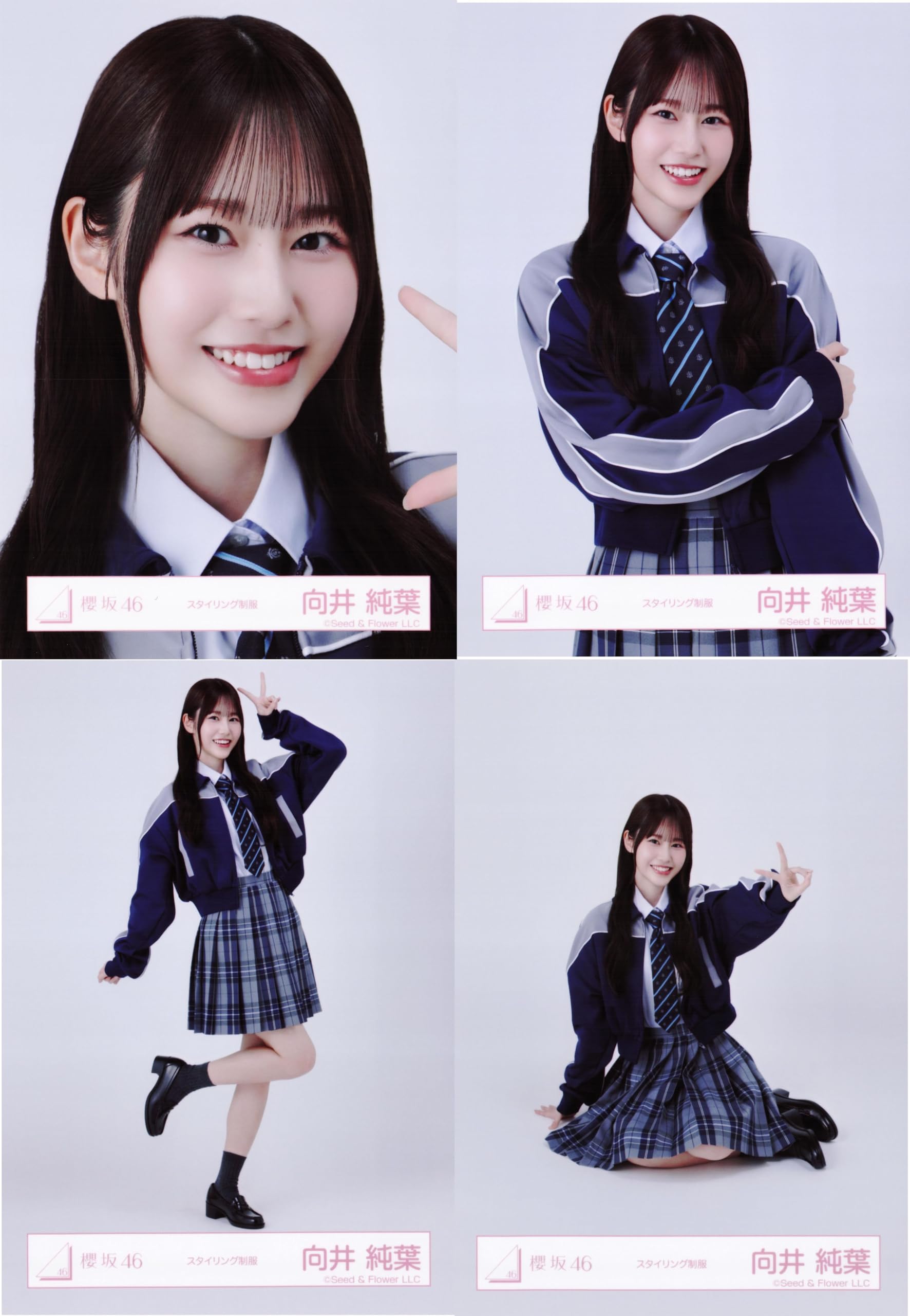 Amazon.co.jp: 櫻坂46 生写真 スタイリング制服 4種コンプ 向井純葉