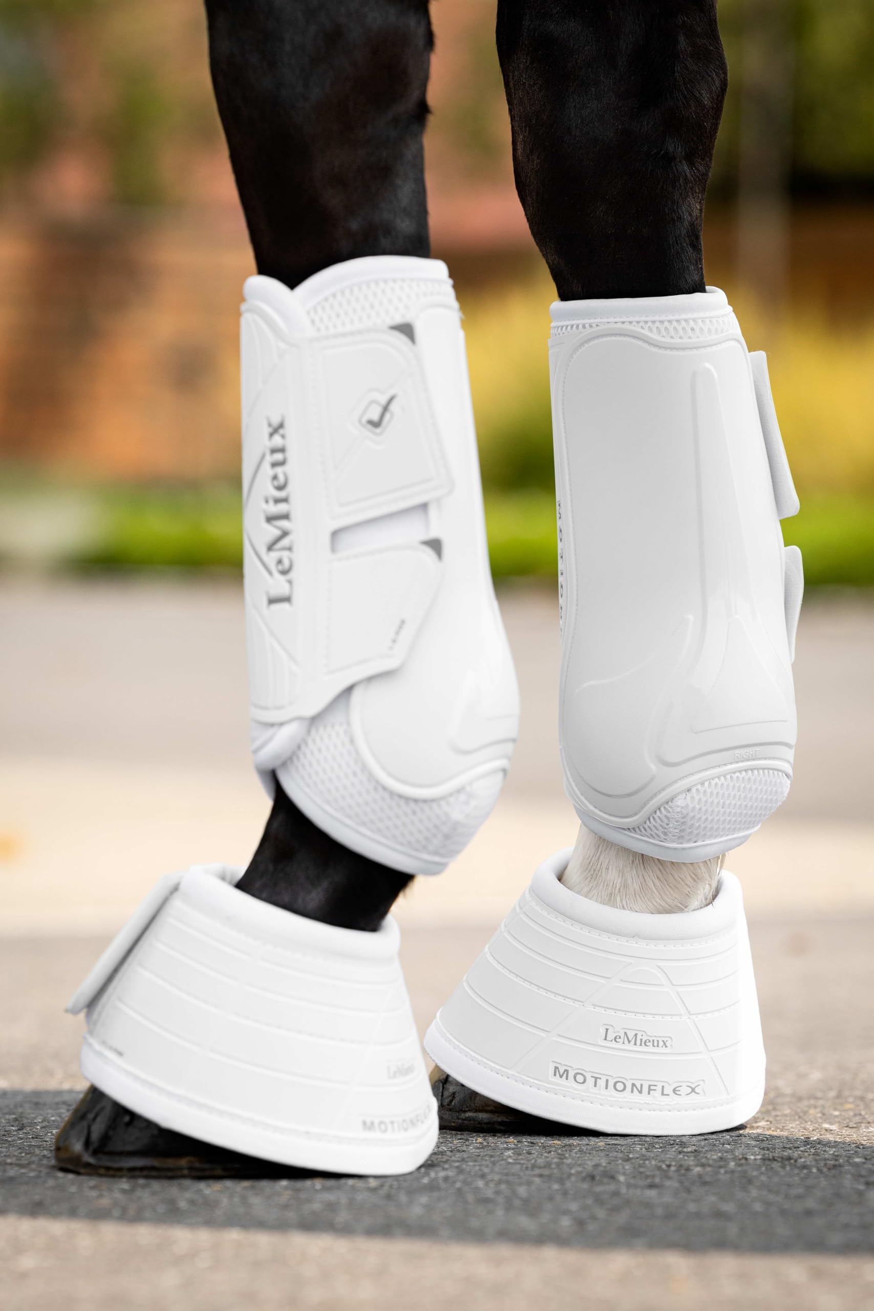 LeMieux Botas de doma Motionflex