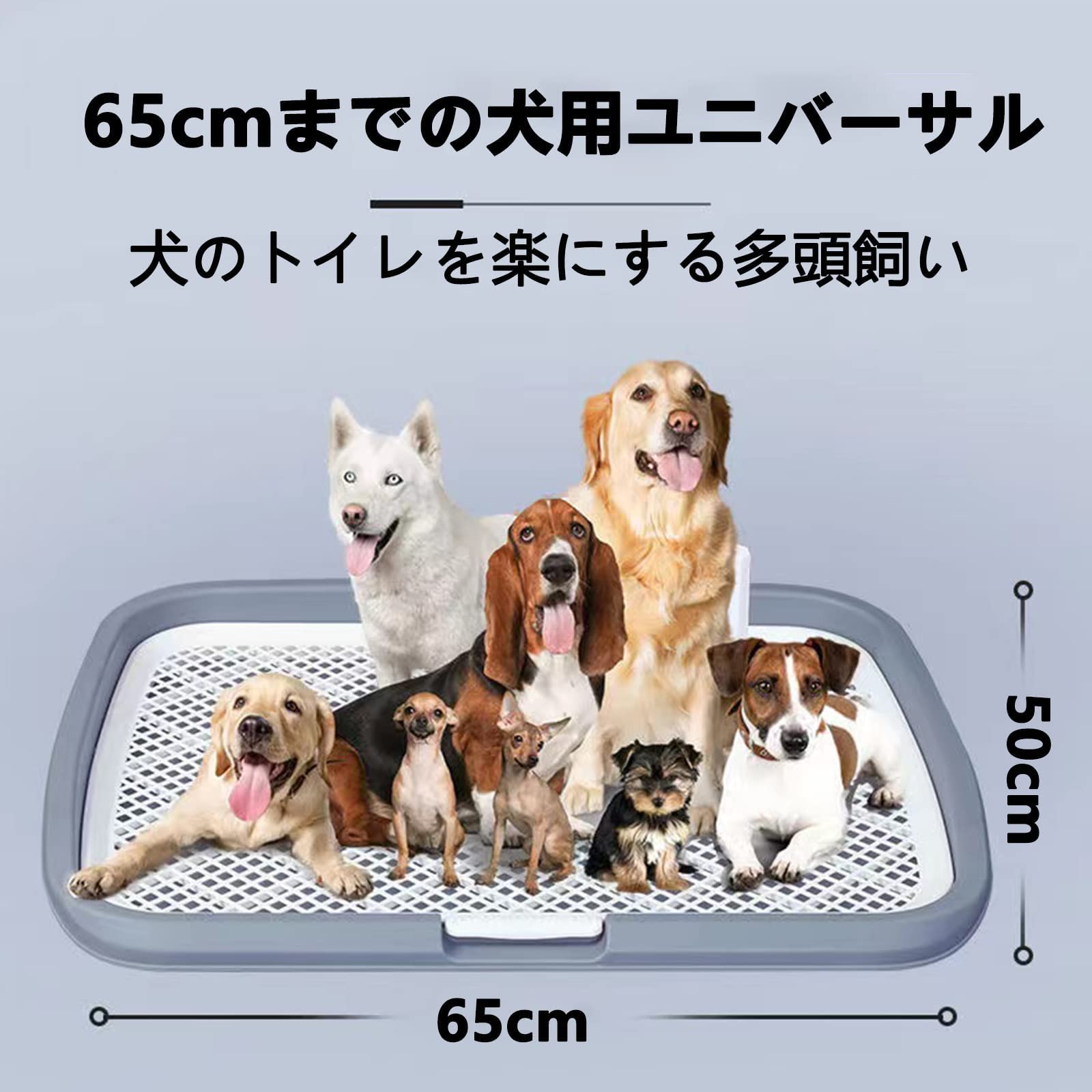 Amazon | HeGeed ペットトイレレイー 犬 トイレトレー 65×50CM 大型犬