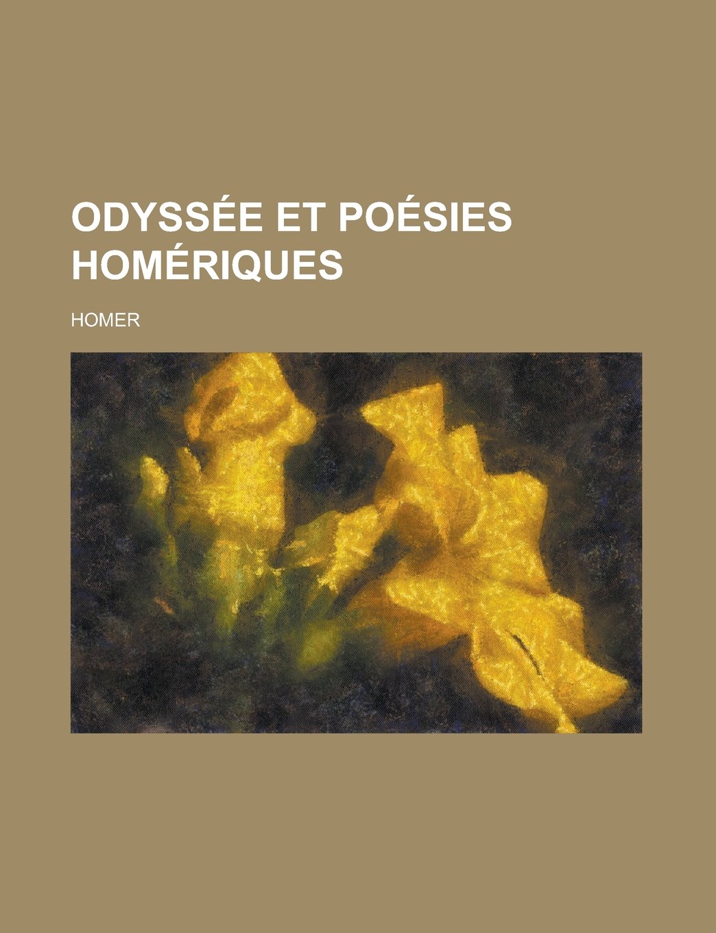 Odyssee Et Poesies Homeriques
