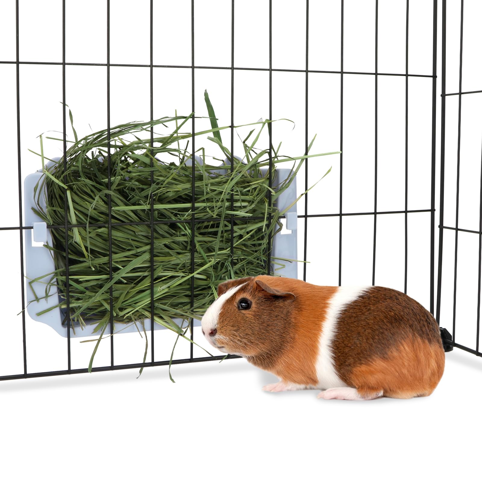 Hypeety Rabbit Hay Feeder - Automatic Plastic Cage Accessory for Guinea Pigs, Chinchillas, and Small Animals (Blue)