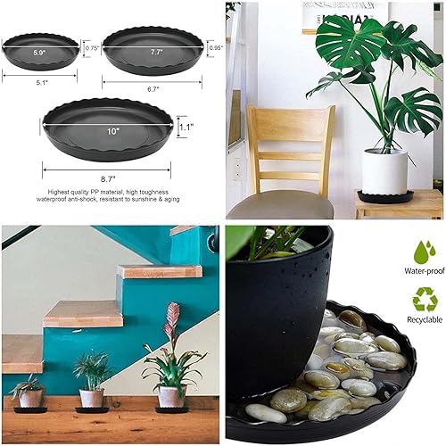Miniatura 5 de 12 platillos para plantas, bandeja de plástico duradero para plantas de 6, 8, 10 pulgadas, platillos redondos negros, bandeja de goteo para jardín