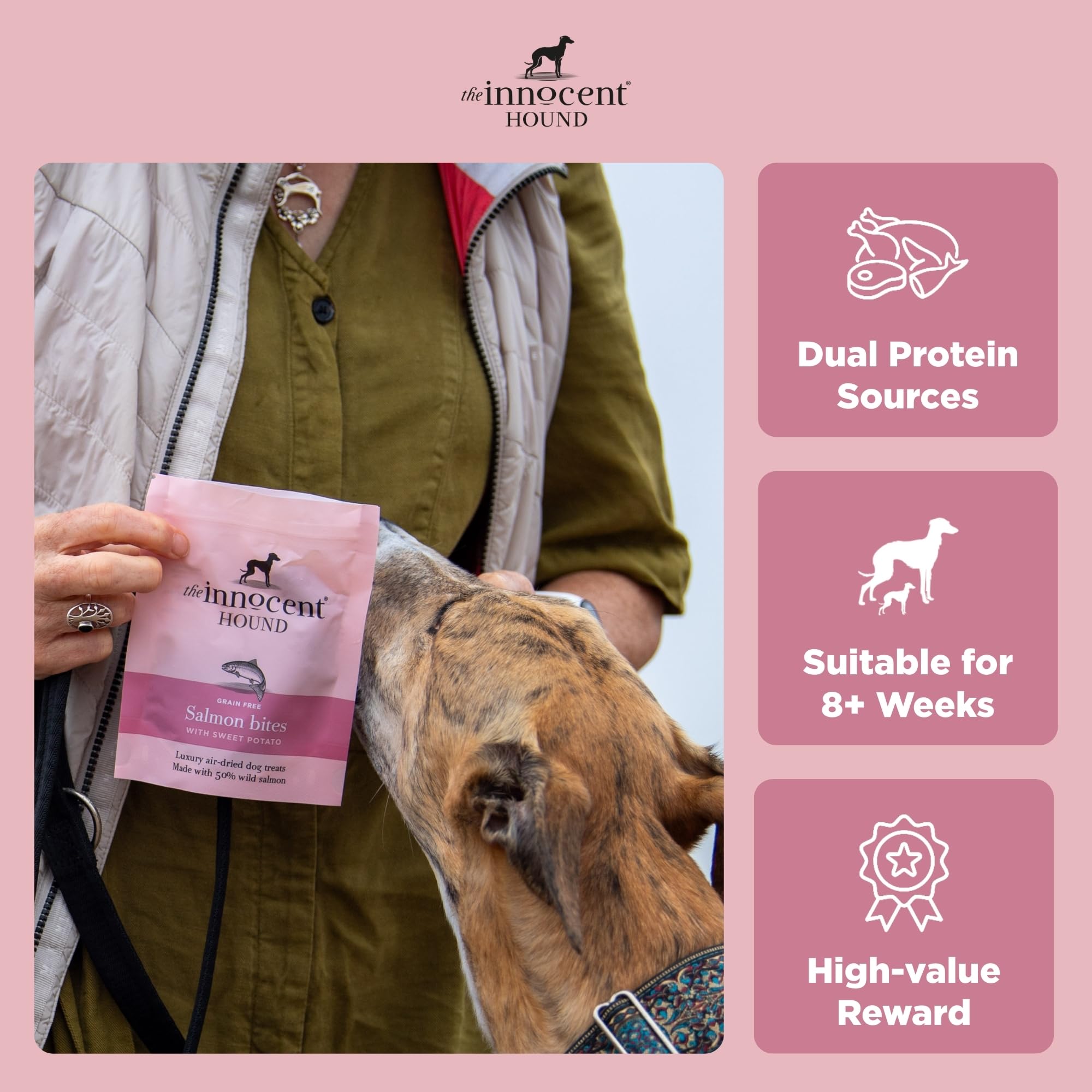 The Innocent Hound - Snacks para perros (Talla Única) (Salmón/Batata)