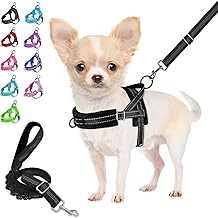 Eyein No-Pull Dog Harness with Lead, Soft Padded, Reflective, Adjustable, Chest Harness for Puppies, Small Dogs, Large Dogs, Pets, Cats (Black, S)