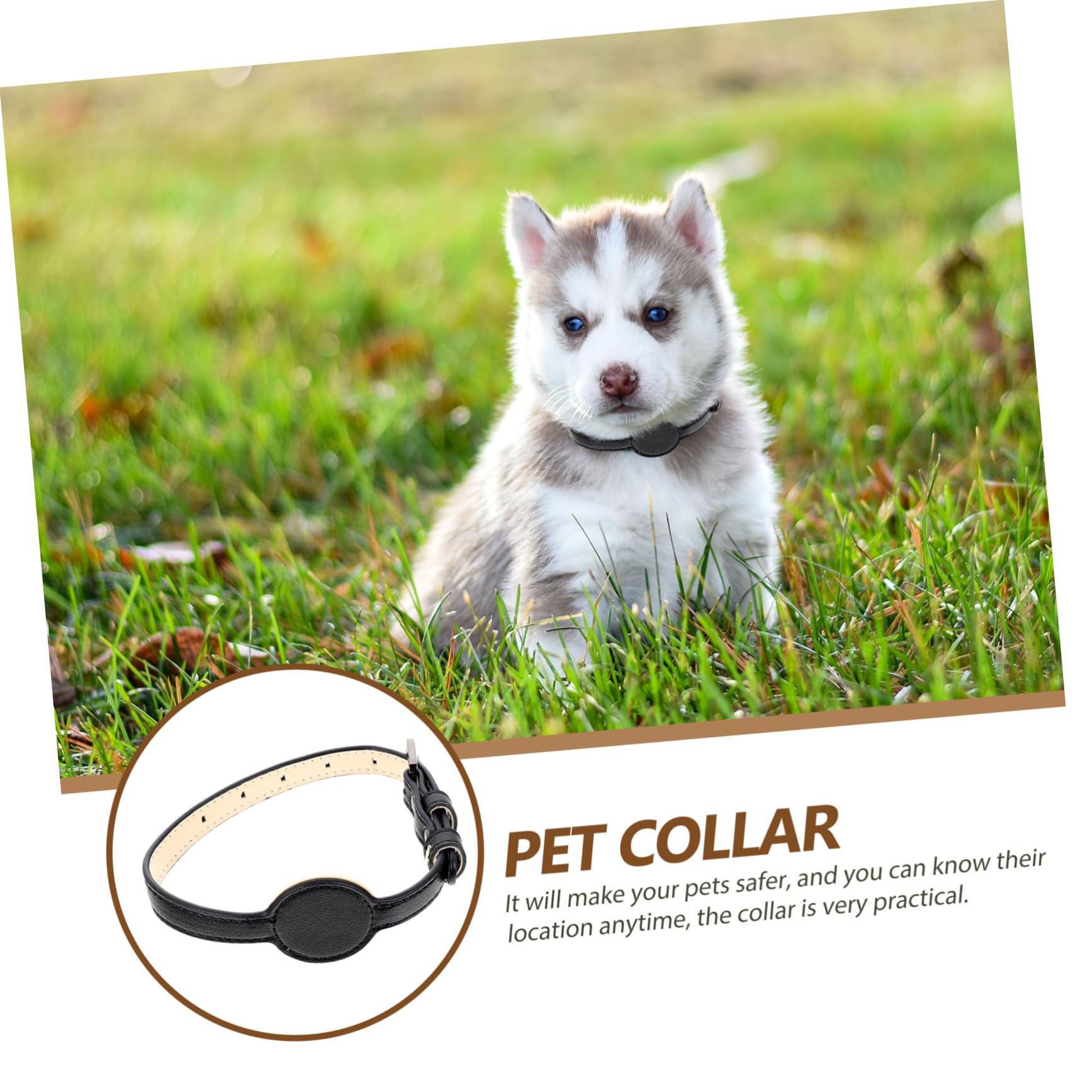 YARNOW 5piezas Collar De Protección para Gatos Diseño De Collar Paseos Material PU