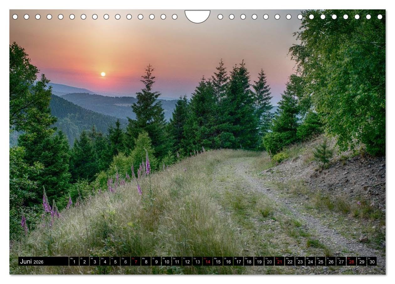 Der Harz einfach magisch (Wandkalender 2026 DIN A4 quer), CALVENDO Monatskalender: Der Harz in magischen Bildern (CALVENDO Orte)