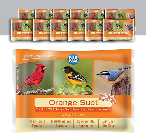Blue Seal Tortas de sebo de naranja para aves silvestres, alimento para pájaros carpinteros, cardenales, mariscos, gorriones y más, 11 onzas