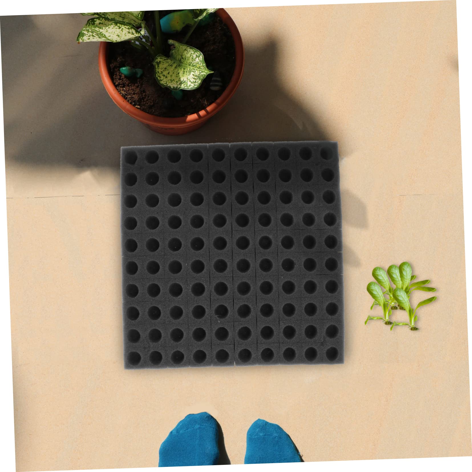 Toddmomy 2 Series Bloque De Esponja para Plántulas Germinación De Plantas De Jardín Bandejas Cubos De Cultivo Iniciador De Plantas Negro Inicio Planta De Semillero Verdura Black 2 Hojas*2
