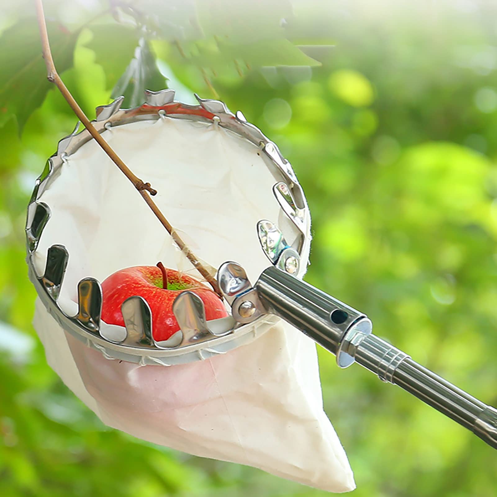 Cueilleur de Fruits ingénieux et Facile à Utiliser : réglable, télescopique et livré avec Un Sac de Collecte Pratique (Size : 2.1M)
