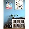 Product Photo 8