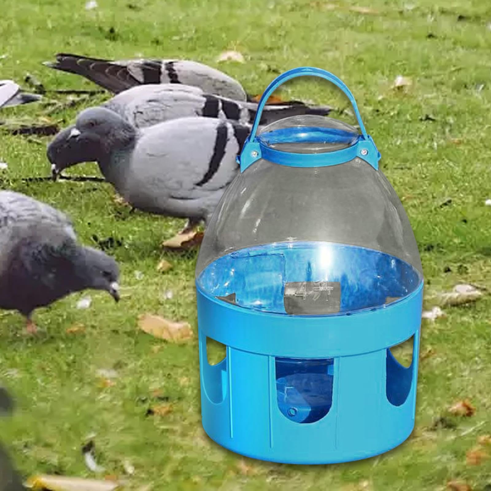 Tauben Trinkflasche, Geflügeltränke mit Tragegriff, Taubentränke Taubentränken, Bird Water Feeder Cage, Stabiler Wassertrinker für Tauben Pfauentauben, Nymphensittiche Wellensittich, 4l