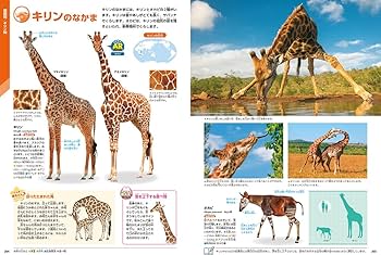 動物の図鑑 動物 新版 | 姉崎 智子 |本 | 通販 | Amazon