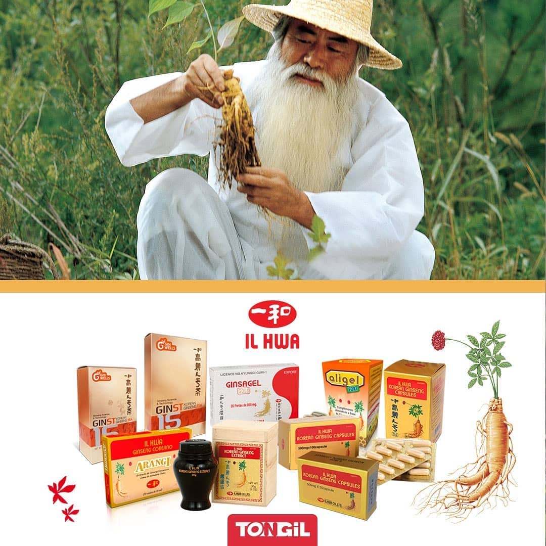 TONGIL GINSENG IL HWA suplement diety w kapsułkach 100 kapsułek