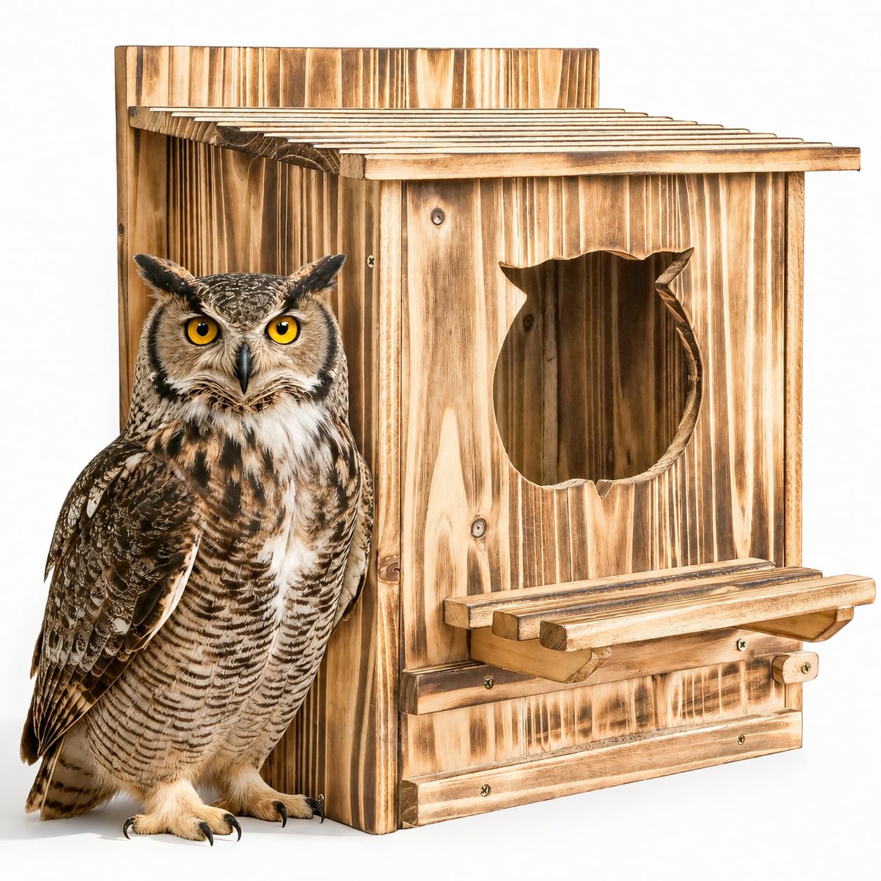 HABAU Owl House