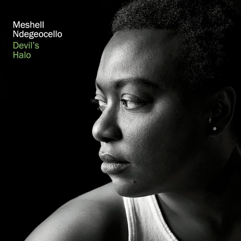 洋楽 meshell NdegeOcello LP 特集】どこから聴けばいい？ブルーノート移籍のマルチ