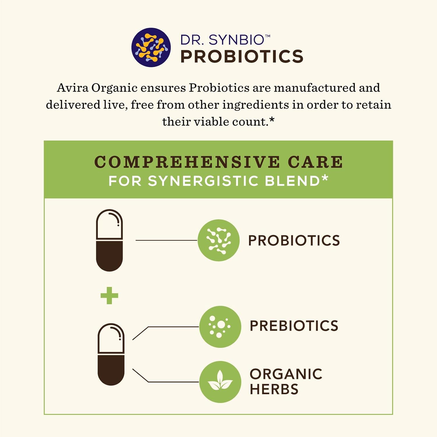 Dr. Synbio Mens Digestive Support Probiotics & Organic Prebiotics – Triphala and Chicory, 50 Billion CFU & 12 Multiple Strains, Helps Restore Normal Gut Flora, Immune & Digestive Function : Health & Household