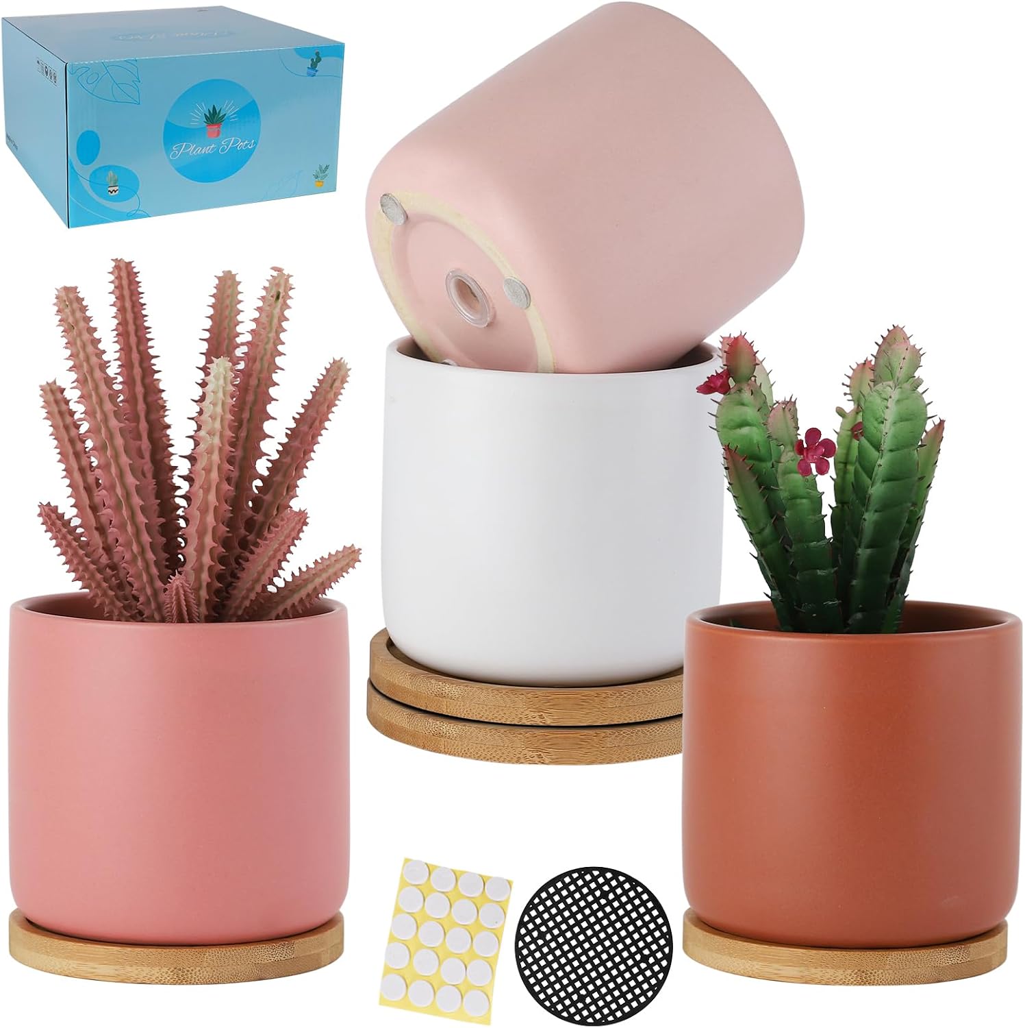 TAMAYKIM 4 Inch Ceramic Plant Pots with Drainage Holes & Tray, Adorable Small Cylinder Planter for Indoor Decor, Succulent, Snake Plants, Cactus & Herbs, Flowers, Set of 4 for Home Office Garden