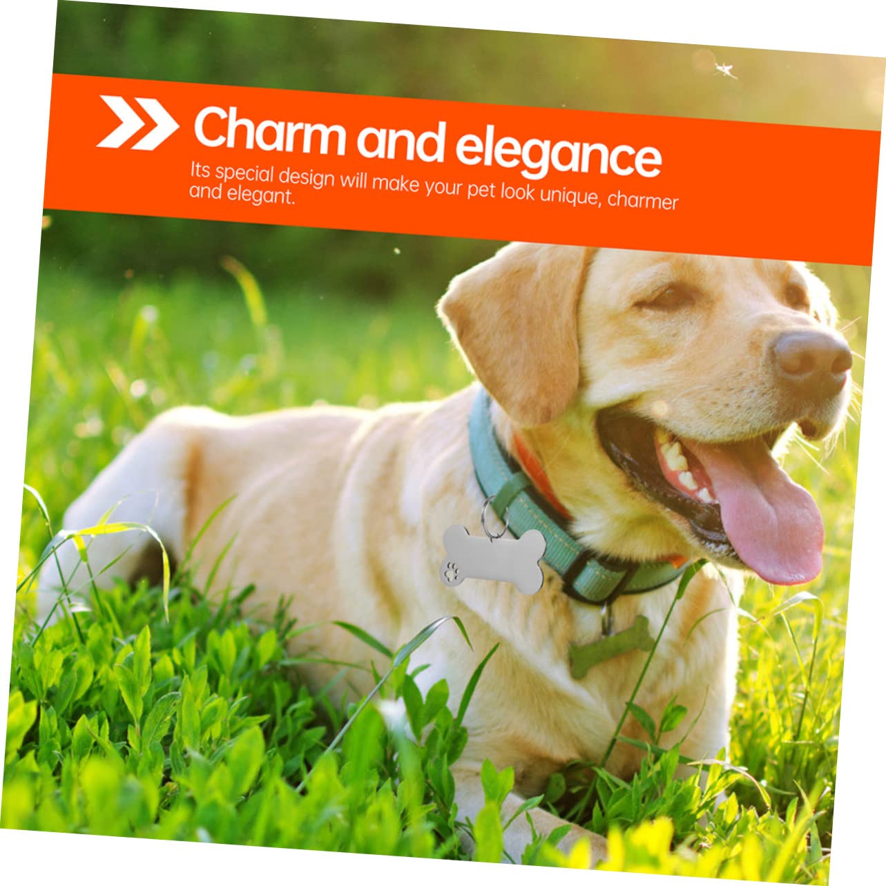Happyyami 30pièces Médaille Identification pour Chiens Inoxydable Plaque Gravée pour Collier De Chiens Et Chats Accessoire Personnalisé pour Animaux De Compagnie