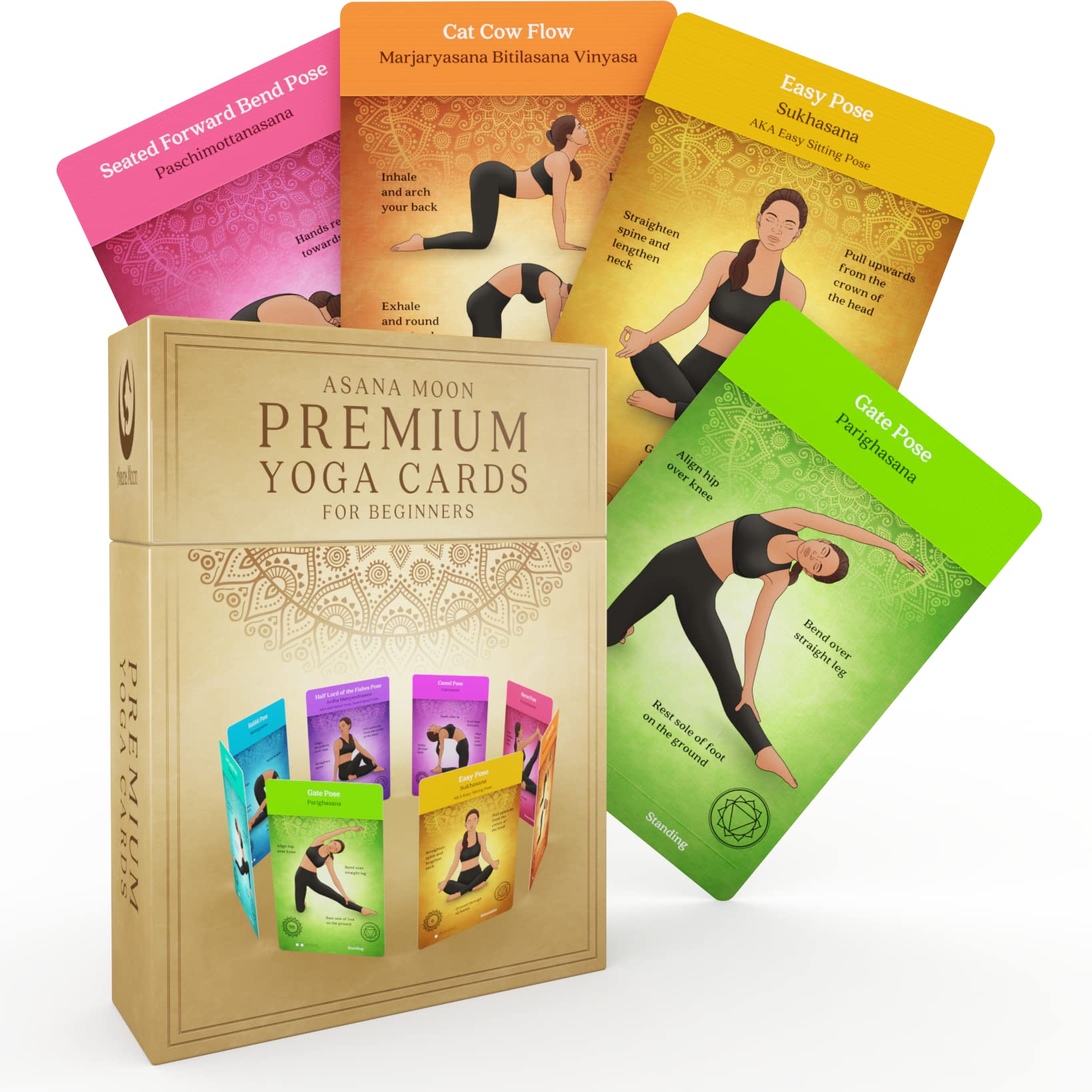 Buy Asana Moon Premium Yoga Cards for Beginners Yoga kit and Workout