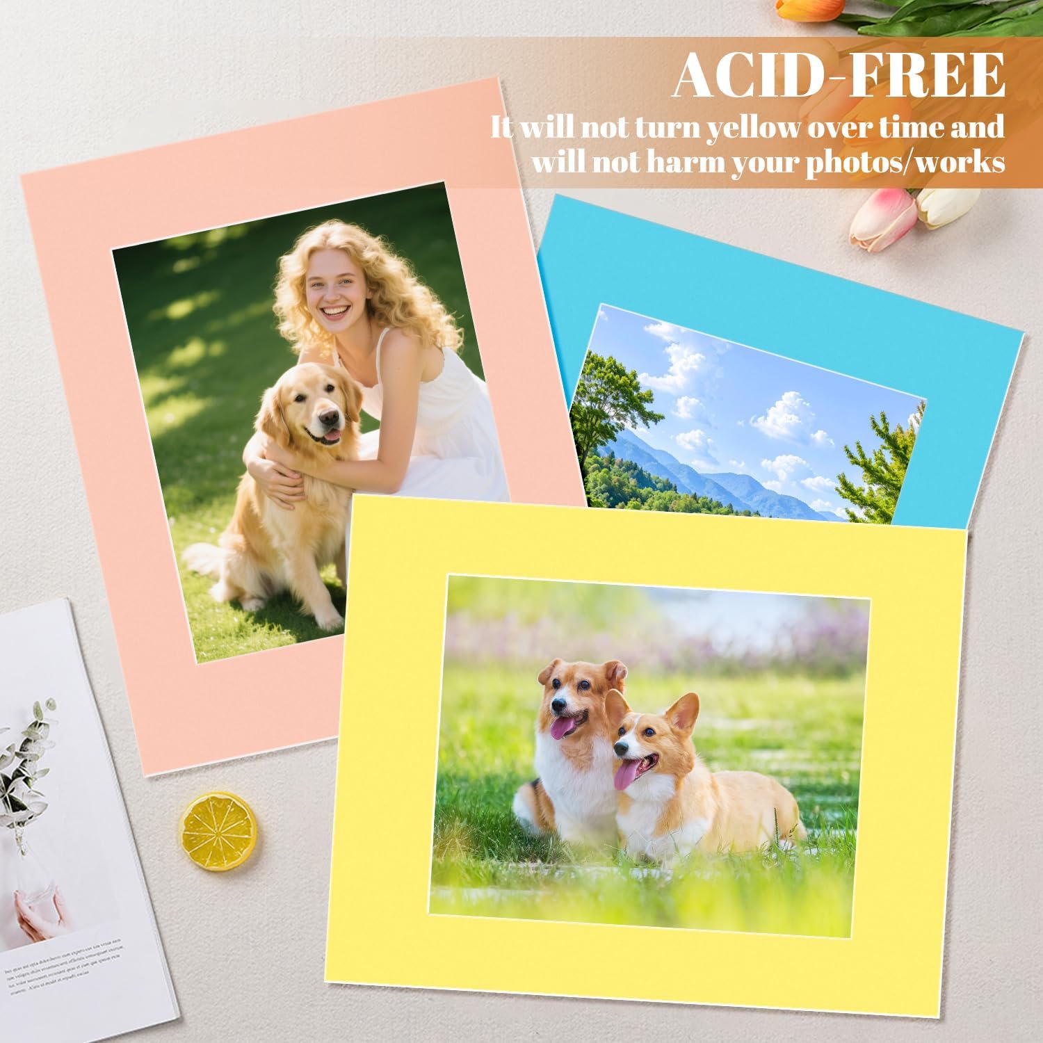 15 Pack Picture Frame Mats, Mixed Colors 11x14 Picture Mats for 8 x10 Photos, Core Bevel Cut Pictures Frames Matting for Photo, Watercolor, Artworks, Prints - Image 5